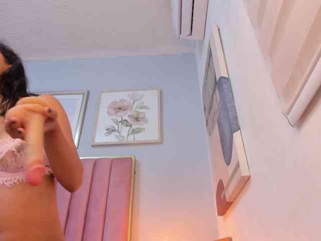 CatalinaFox webcam