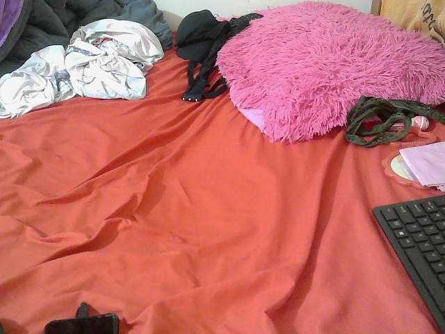 Chocodollie live cam on BongaCams