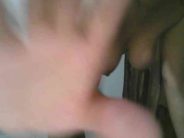 Chocodollie webcam