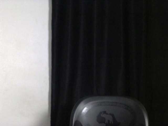 Lickmapussy live cam on BongaCams