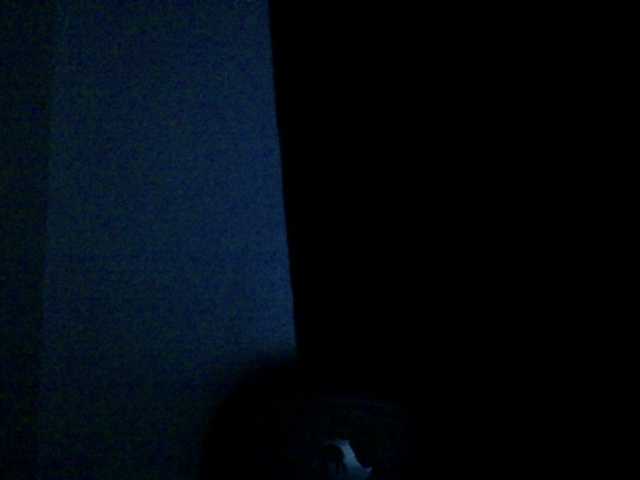Lickmapussy live cam on BongaCams
