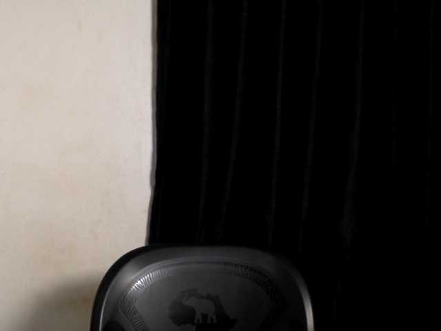 Lickmapussy live cam on BongaCams