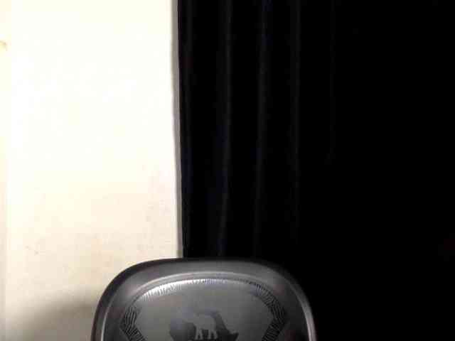 Lickmapussy webcam