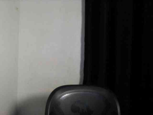 Lickmapussy webcam