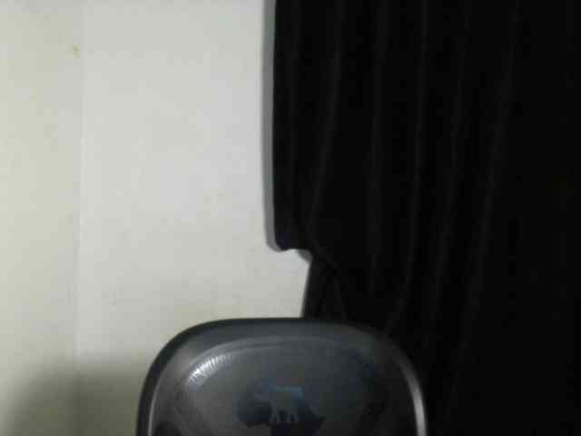 Lickmapussy webcam
