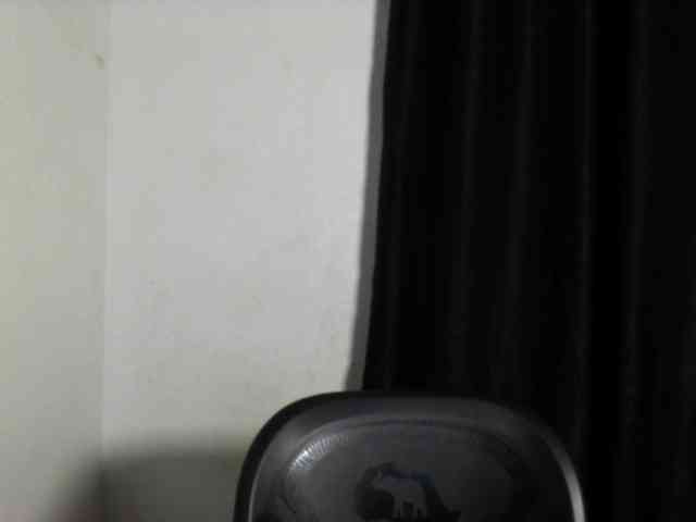 Lickmapussy webcam