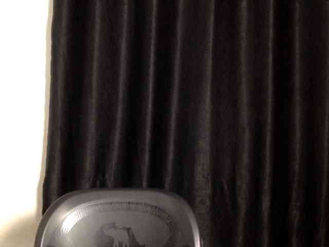 Lickmapussy webcam