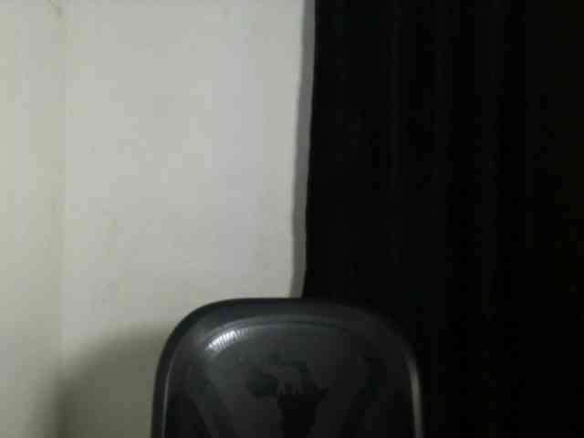 Lickmapussy webcam