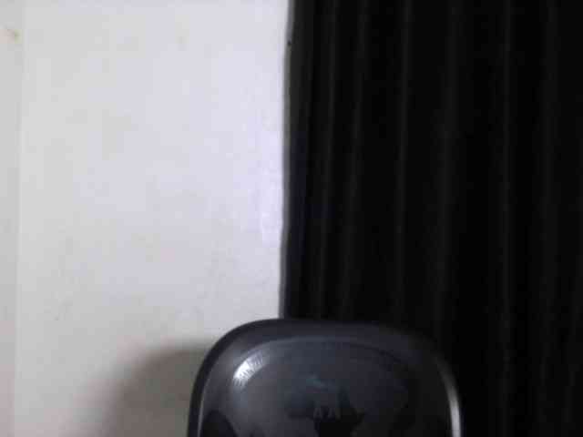Lickmapussy webcam