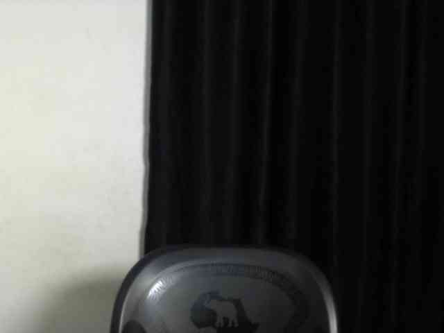 Lickmapussy webcam