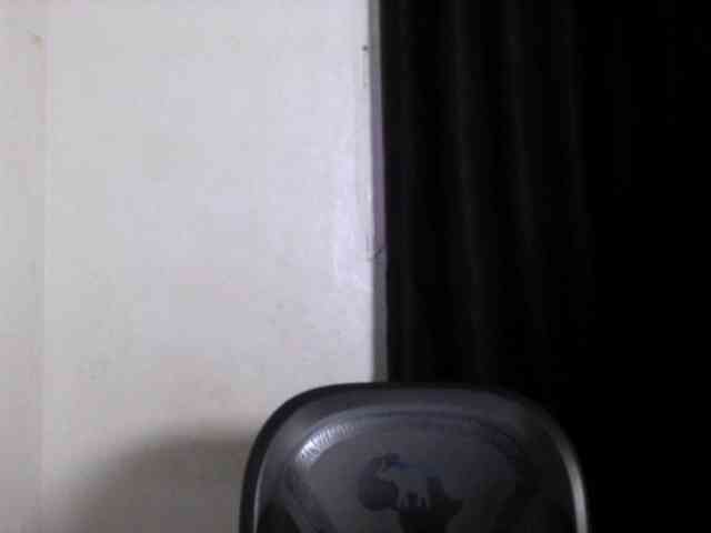 Lickmapussy webcam
