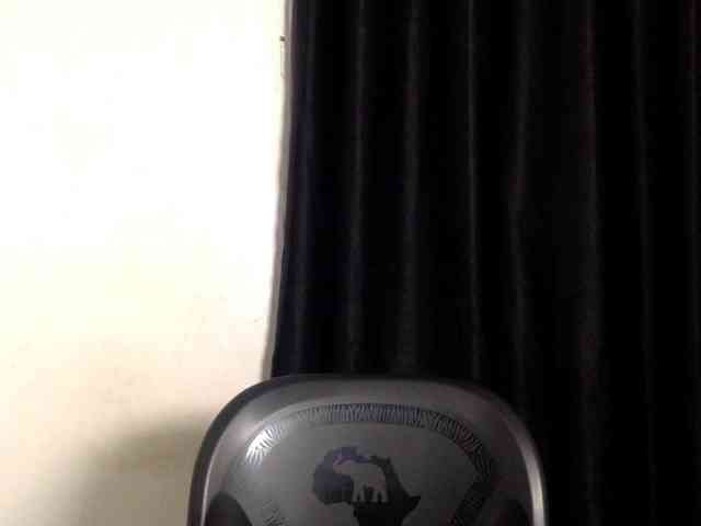 Lickmapussy webcam