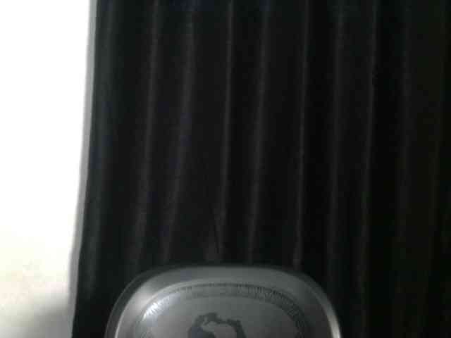 Lickmapussy webcam