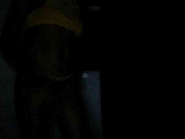 Lickmapussy webcam