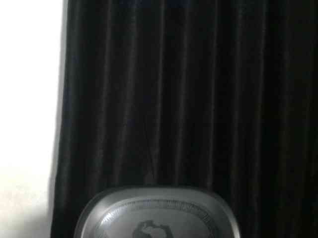 Lickmapussy webcam