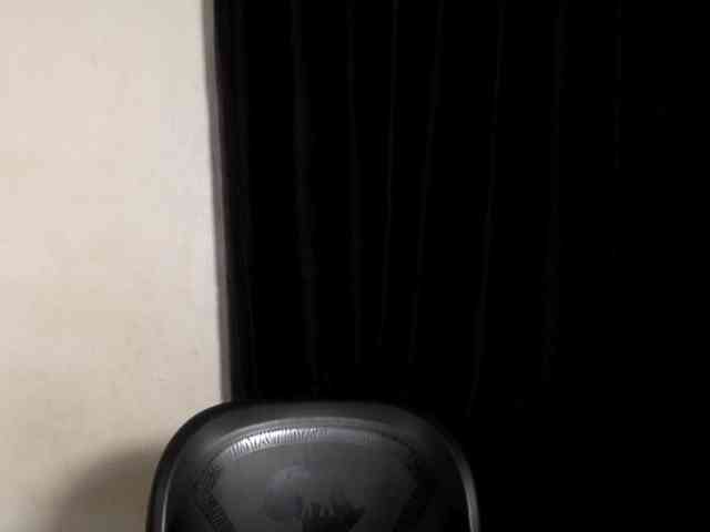 Lickmapussy webcam