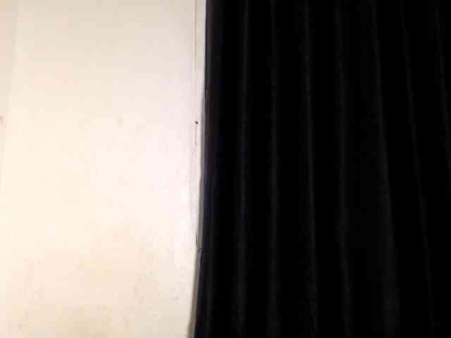 Lickmapussy webcam