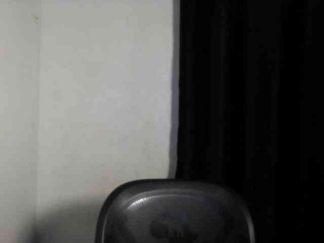 Lickmapussy webcam