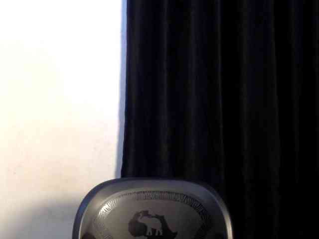 Lickmapussy webcam