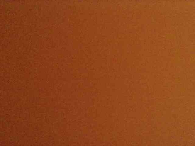 Lickmapussy webcam
