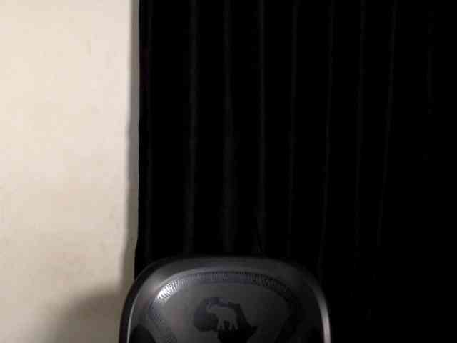 Lickmapussy webcam