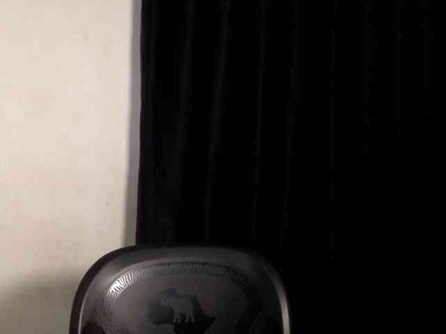 Lickmapussy webcam