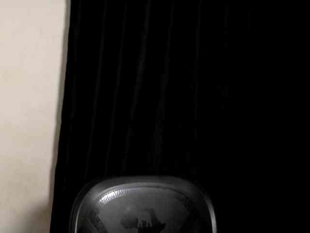 Lickmapussy webcam