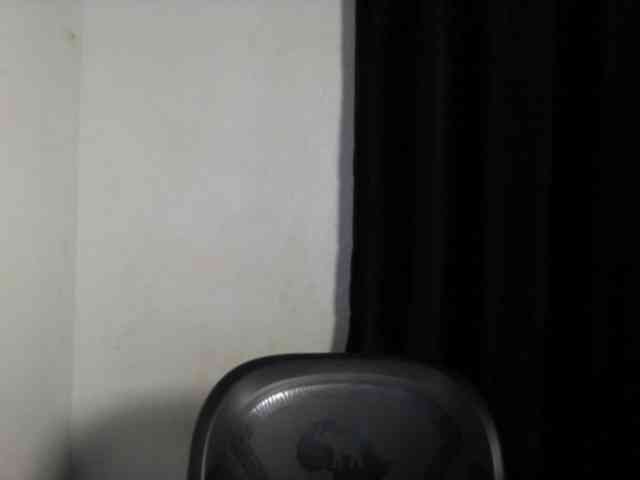 Lickmapussy Live Webcam on BongaCams