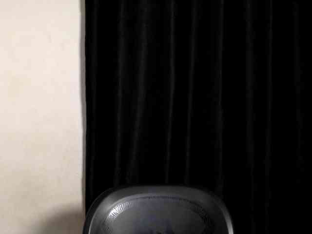 Lickmapussy webcam