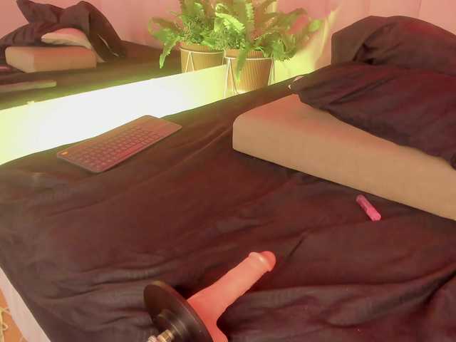 CamilFerrer live cam on BongaCams