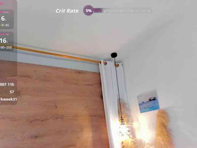 heeidi webcam