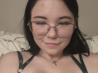 Kittydream-x