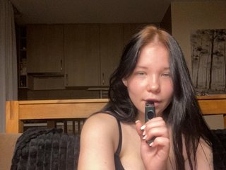 Kittydream-x