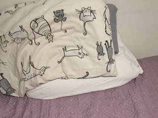 Kittydream-x
