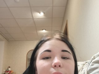 Kittydream-x