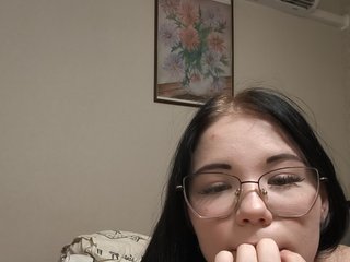 Kittydream-x
