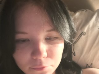 Kittydream-x