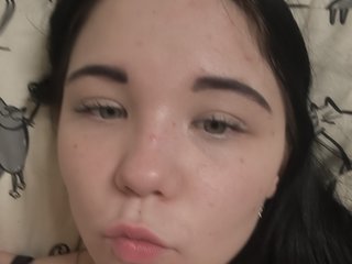 Kittydream-x
