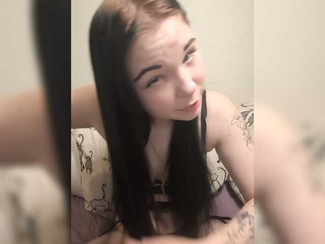 Kittydream-x
