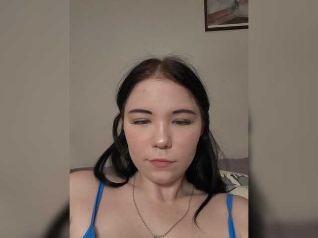 Kittydream-x