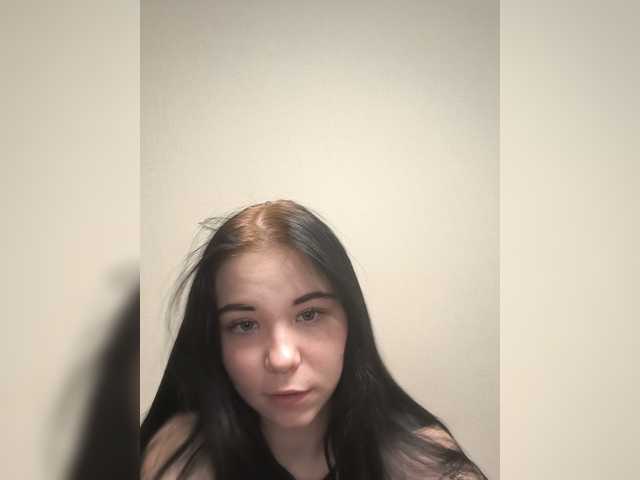 Kittydream-x