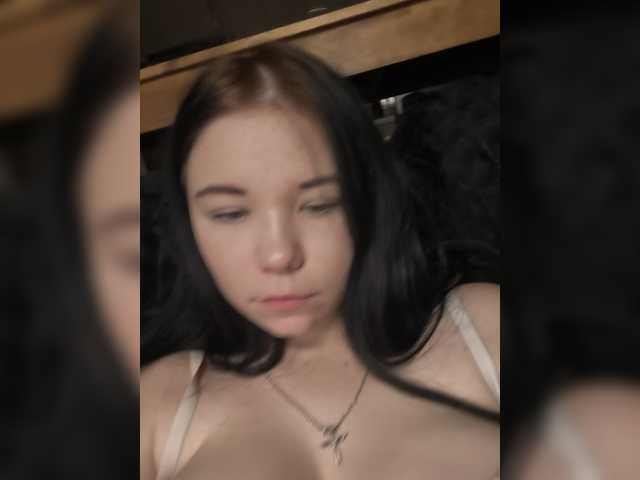 Kittydream-x