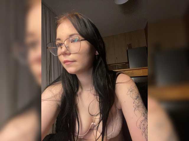 Kittydream-x