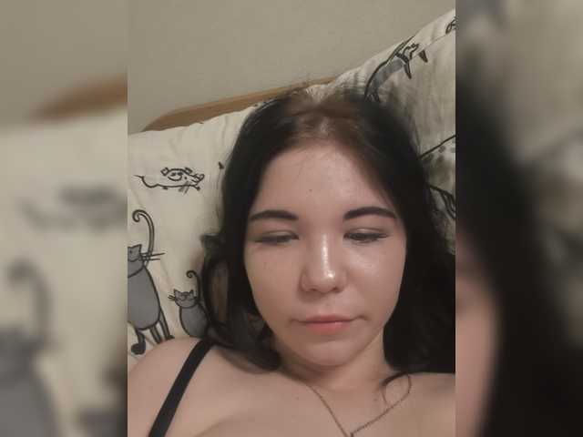 Kittydream-x