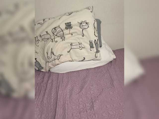 Kittydream-x