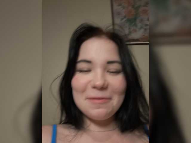 Kittydream-x