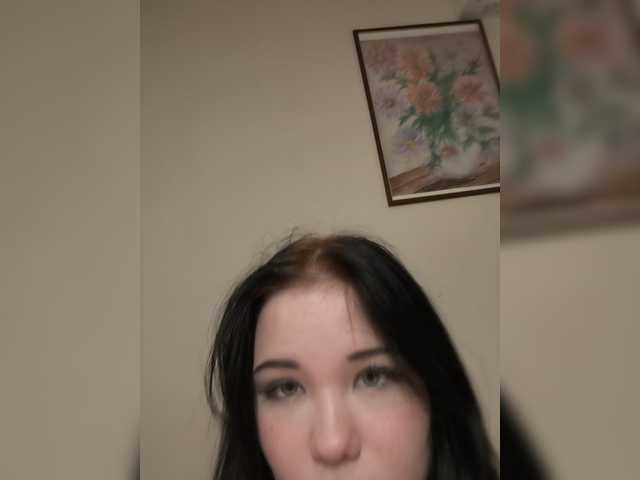 Kittydream-x