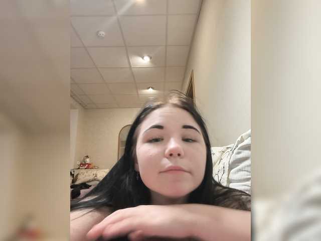 Kittydream-x