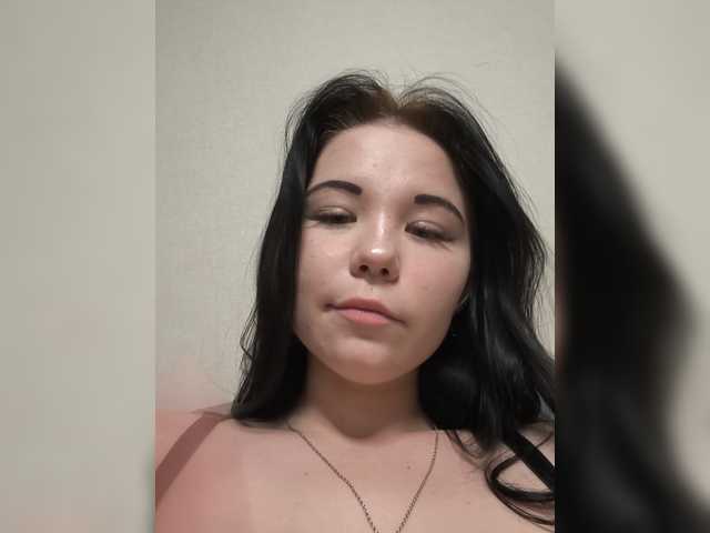 Kittydream-x