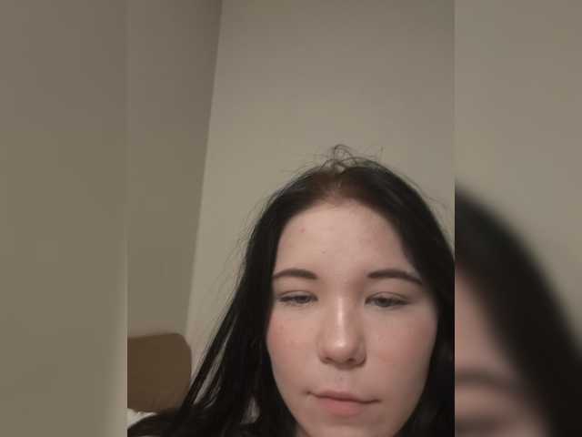 Kittydream-x